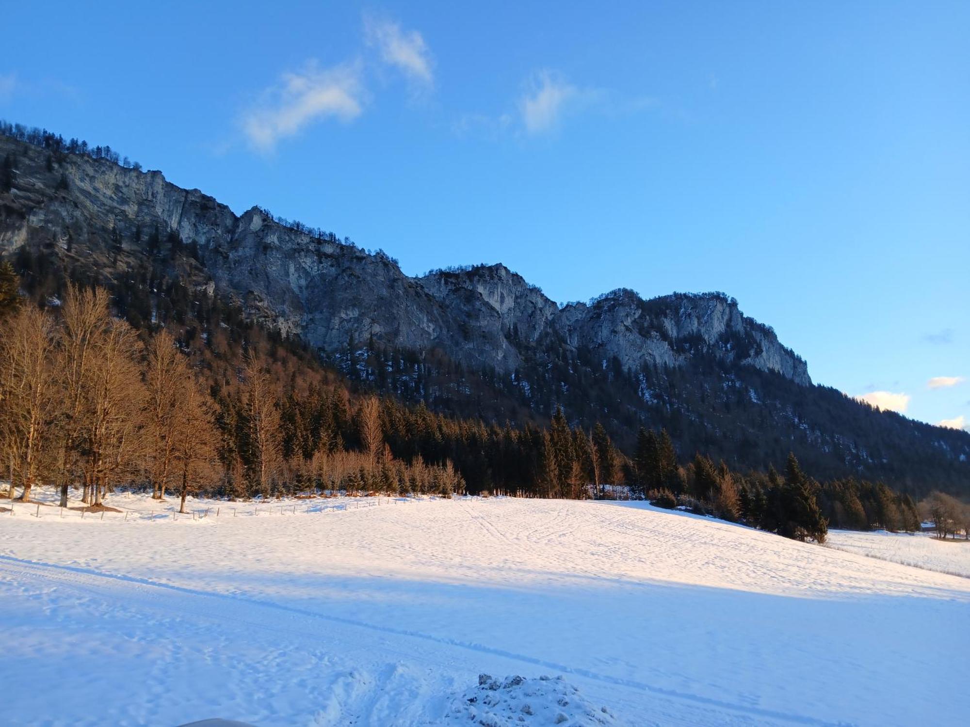 Ferienwohnung Maurerhof Sankt Johann in Tirol Εξωτερικό φωτογραφία