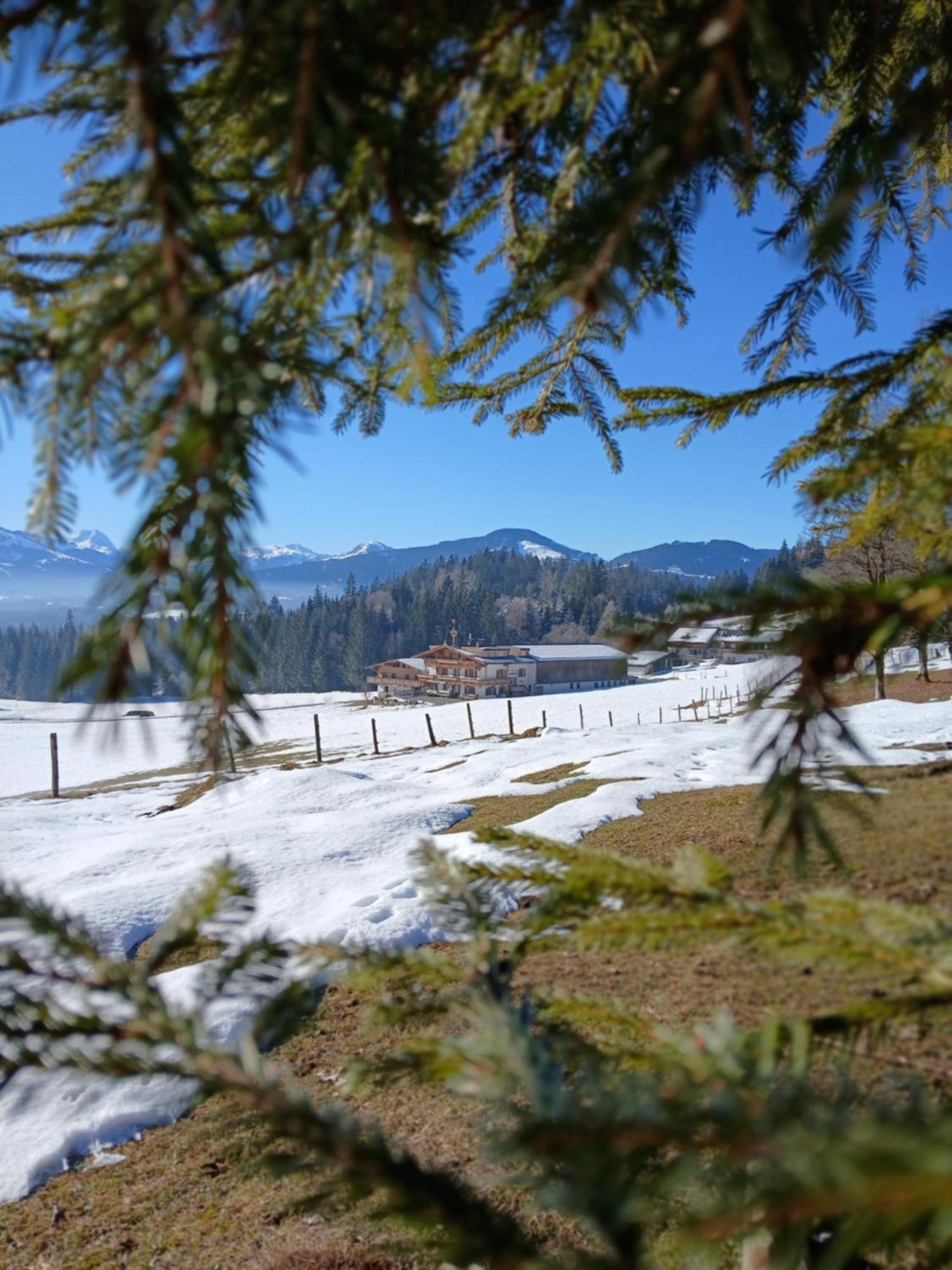 Ferienwohnung Maurerhof Sankt Johann in Tirol Εξωτερικό φωτογραφία