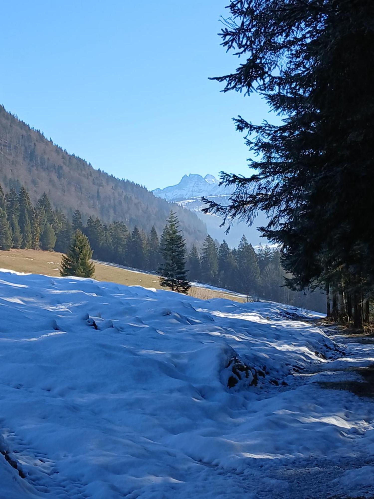 Ferienwohnung Maurerhof Sankt Johann in Tirol Εξωτερικό φωτογραφία